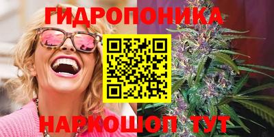 СК Свободный